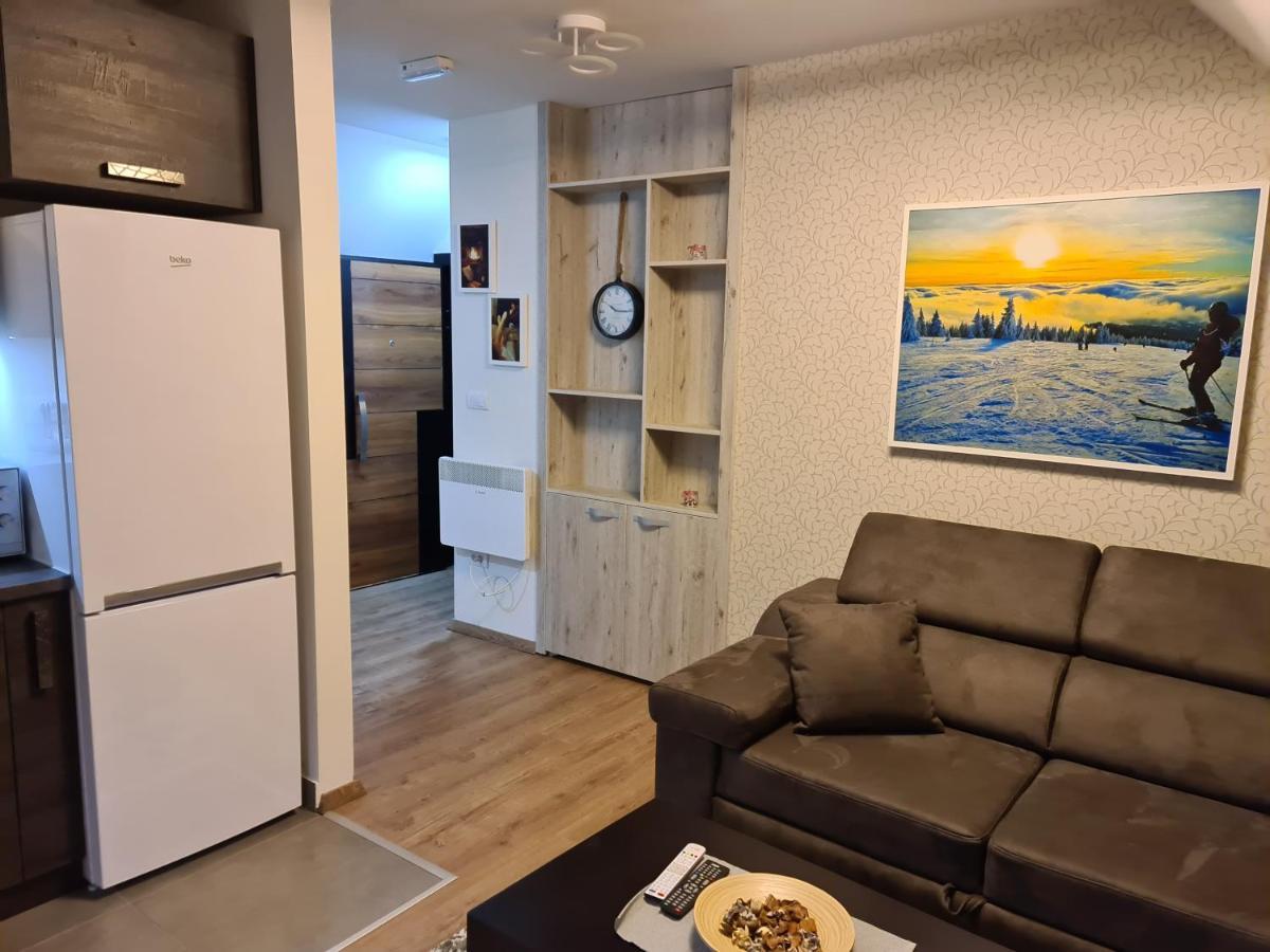 Gabi Apartments Kopaonik - Kraljevi Cardaci Bagian luar foto