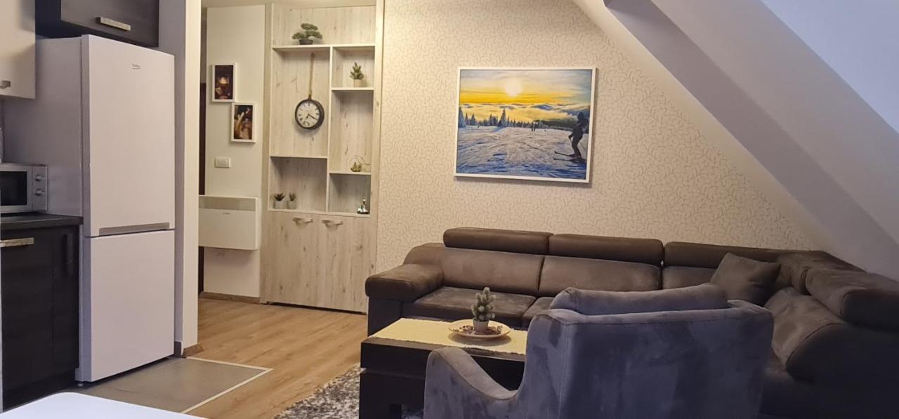 Gabi Apartments Kopaonik - Kraljevi Cardaci Bagian luar foto